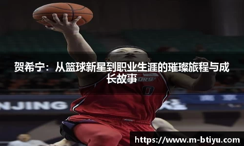 B体育